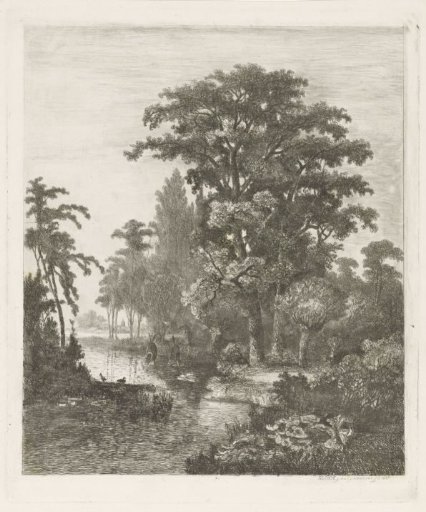 Forest view with two duck nests in a river