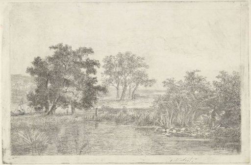 View of a pond