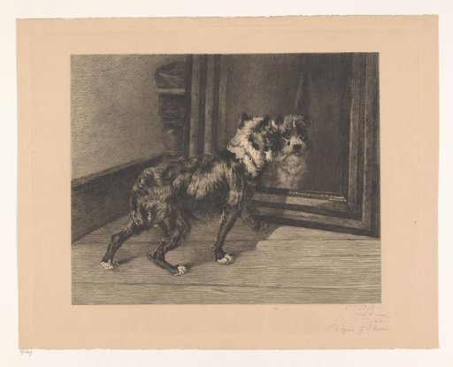 Dog Before a Mirror