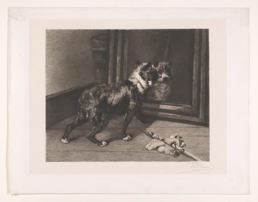 Dog Before a Mirror