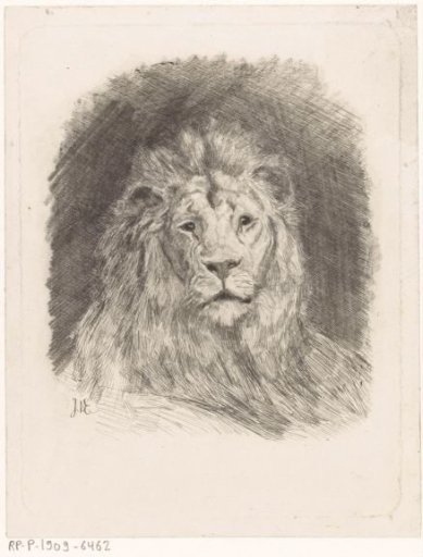 Head of a lion