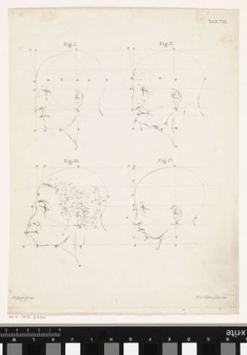 Study of a human head at different ages