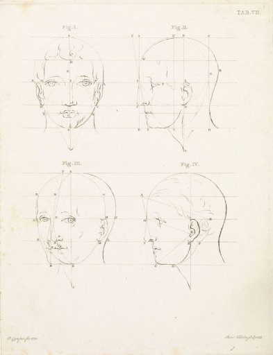 Study of a human head from different positions