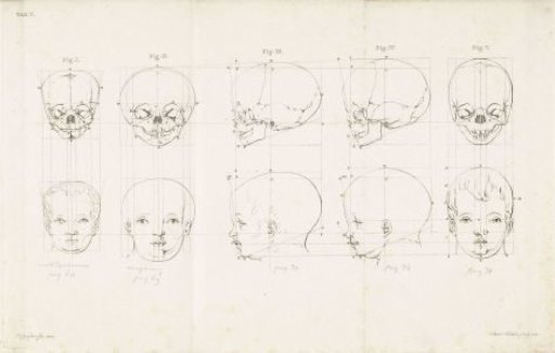 Study of the head of a young child