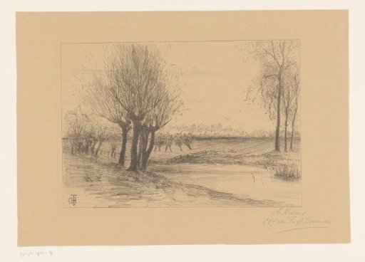 Meadow with pollard willows