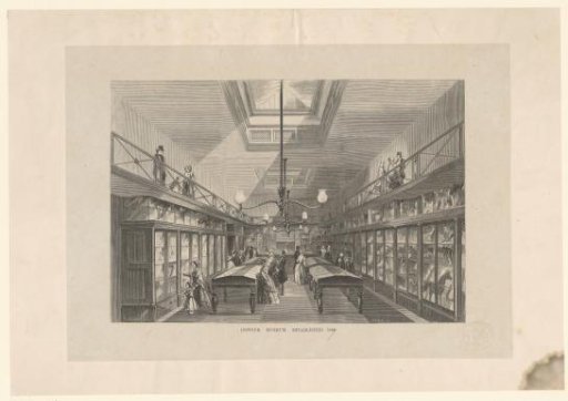 Hall in the Ipswich Museum