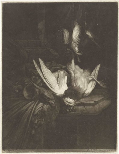 Still Life with Birds