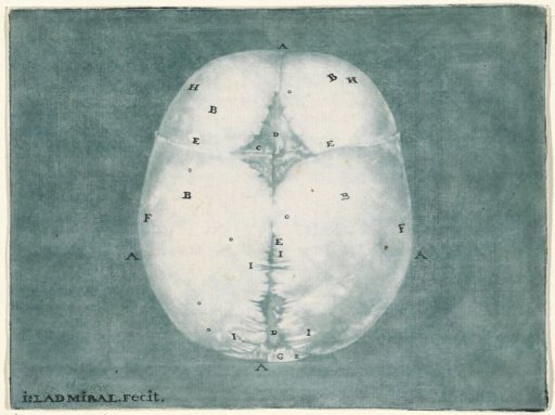 Plates of the Brain and the Heart