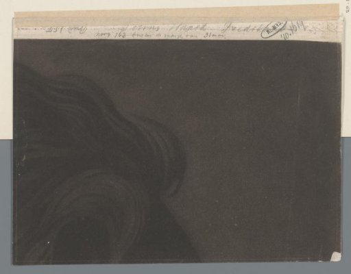 Fragment with Part of a Wig