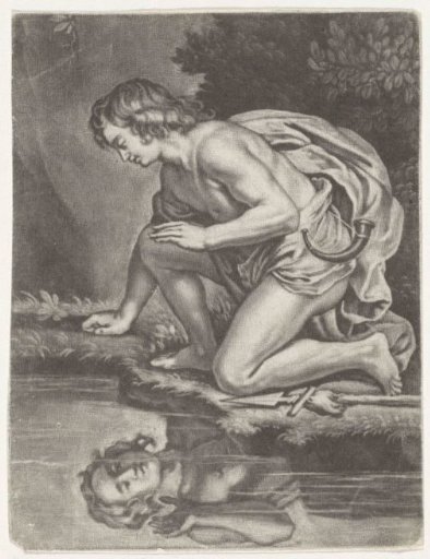 Narcissus