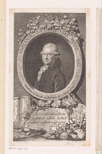 Portrait of Johann Jacob von Well