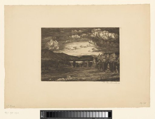 Landscape with pine trees