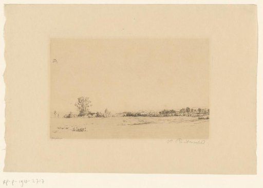 Dune-like landscape