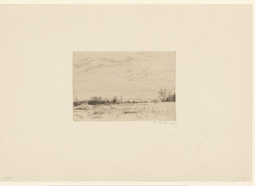 Watery landscape