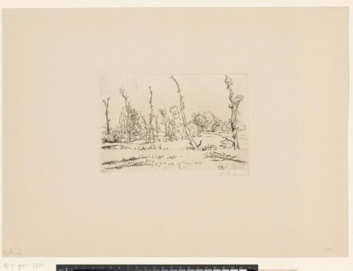 Winter landscape