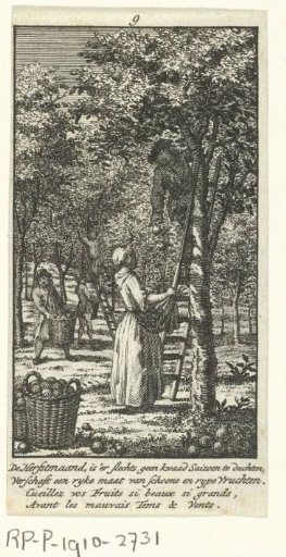 September: Fruit harvest