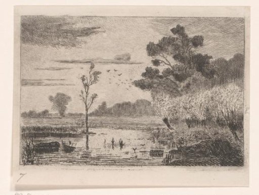 Landscape with water and pollard willows near Noord Deurningen