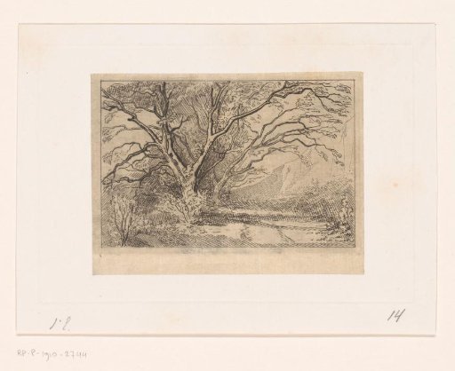 Hilly landscape with walnut trees