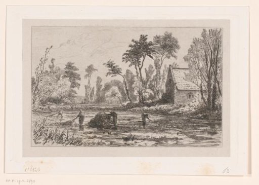 Seaweed harvest near Veules