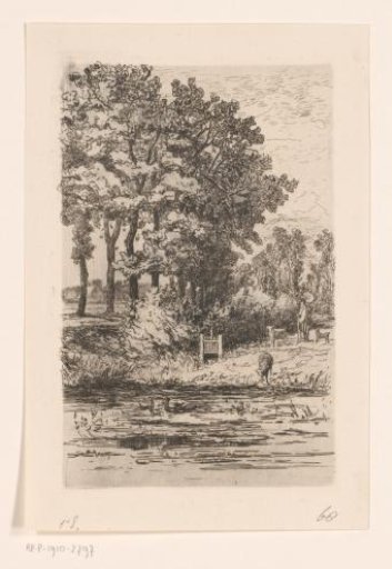 Landscape with oaks near Noord Deurningen