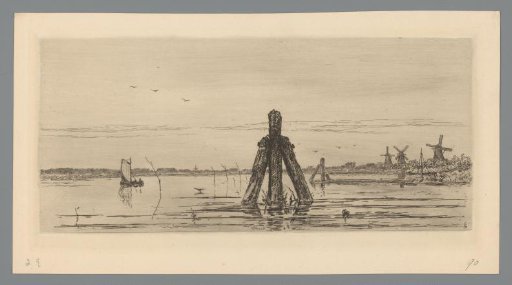 View of the Biesbosch near Dordrecht