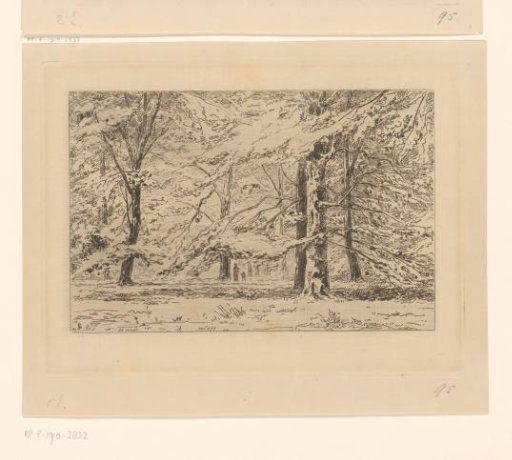 Trees on the estate of Kasteel Groeneveld