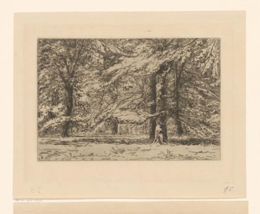 Trees on the estate of Kasteel Groeneveld