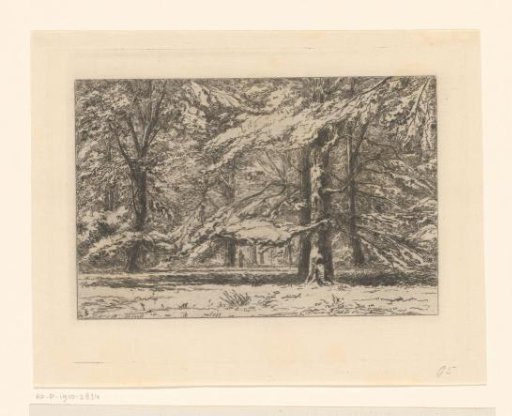 Trees on the estate of Kasteel Groeneveld