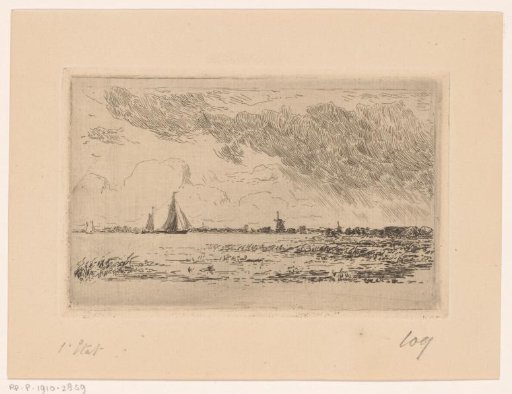View of the Biesbosch near Dordrecht
