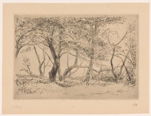 Group of Trees in the Dunes near Haarlem
