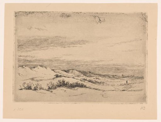 Dune Landscape near Zandvoort