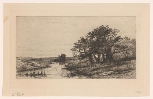 Landscape with oak trees near Wolfheze
