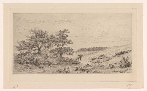 Heath landscape near Worth-Rheden