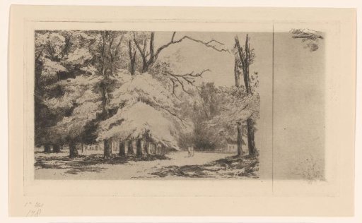 Forest view with two walkers