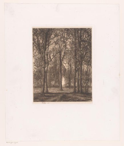 Landscape with trees
