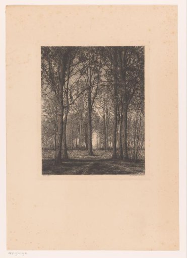 Landscape with trees