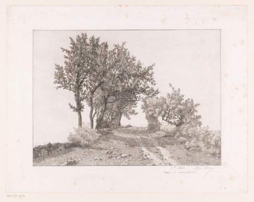 Landscape with a country road and low stone fences
