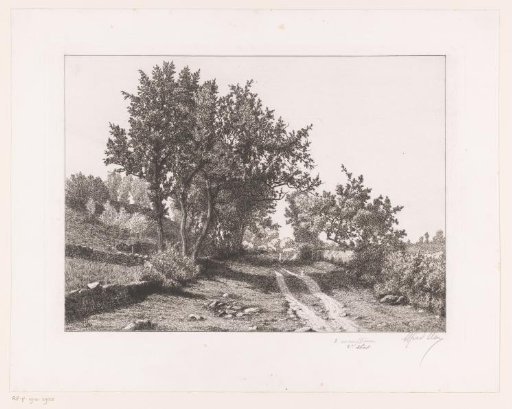 Landscape with a country road and low stone fences