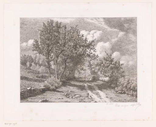 Landscape with a country road and low stone fences