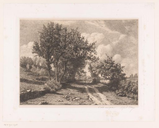 Landscape with a country road and low stone fences