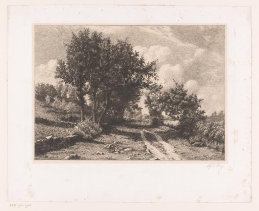 Landscape with a country road and low stone fences