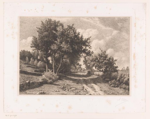 Landscape with a country road and low stone fences