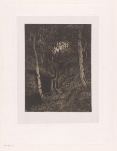 Birch grove with waterfall