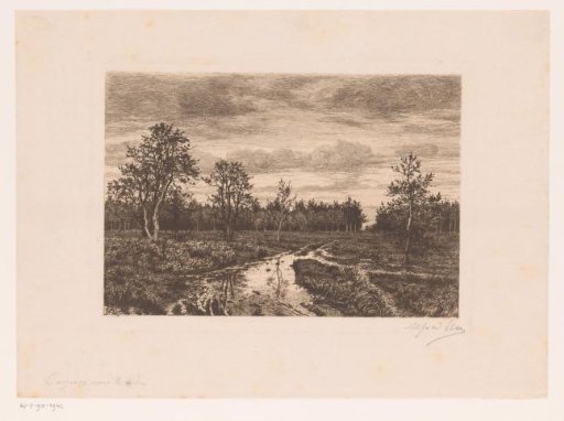 Marsh landscape at twilight