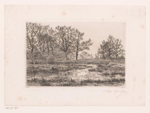 Marsh landscape with trees