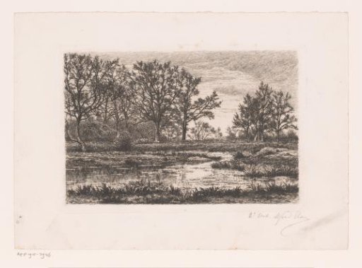 Marsh landscape with trees