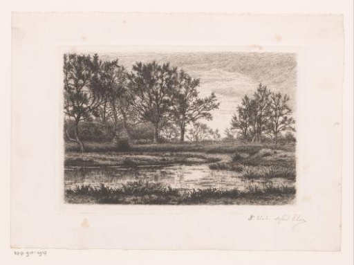 Marsh landscape with trees