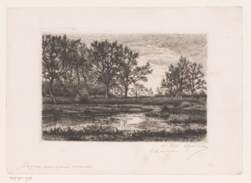 Marsh landscape with trees