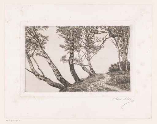 Landscape with birches along a bank