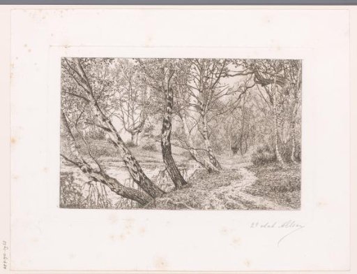 Landscape with birches along a bank